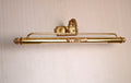 Polished Brass Picture Light with Floral Detail